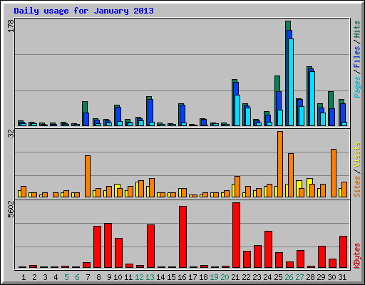 Daily usage for January 2013