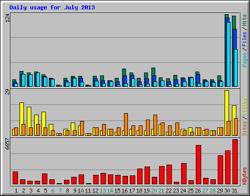 Daily usage for July 2013