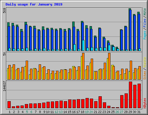 Daily usage for January 2019