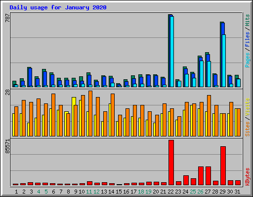 Daily usage for January 2020