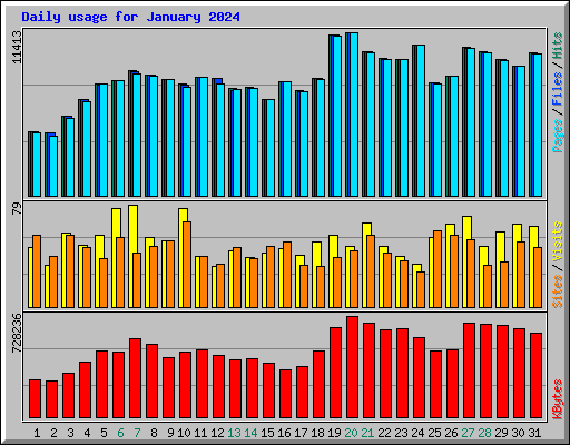 Daily usage for January 2024