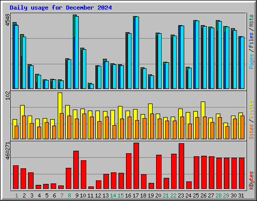 Daily usage for December 2024