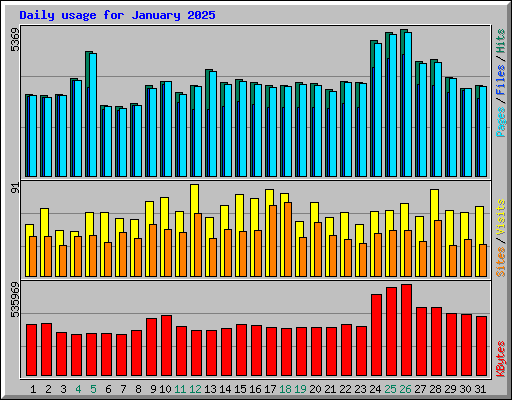 Daily usage for January 2025