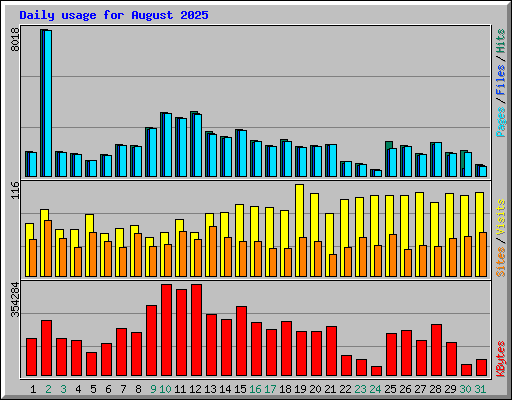 Daily usage for August 2025