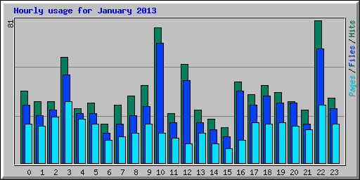 Hourly usage for January 2013