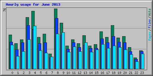Hourly usage for June 2013