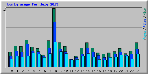 Hourly usage for July 2013