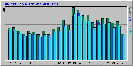 Hourly usage for January 2014