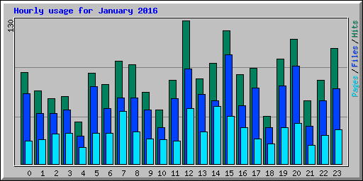 Hourly usage for January 2016