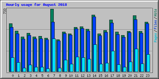 Hourly usage for August 2018