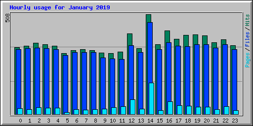Hourly usage for January 2019