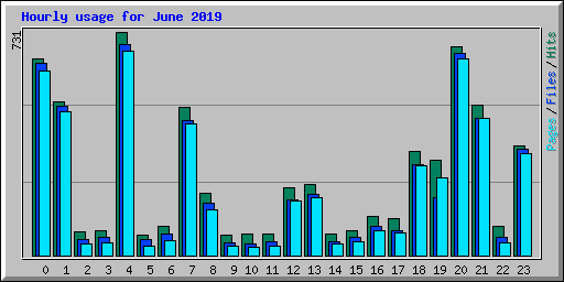 Hourly usage for June 2019