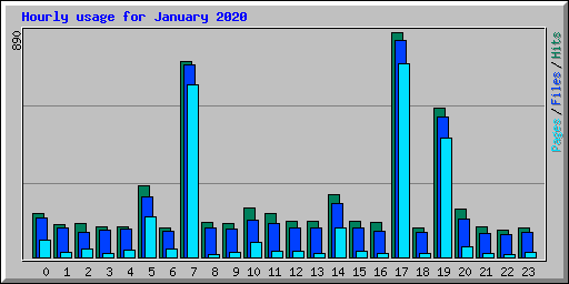 Hourly usage for January 2020