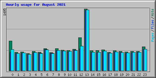 Hourly usage for August 2021