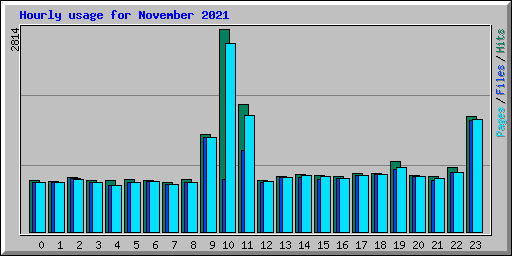 Hourly usage for November 2021