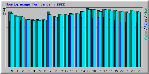 Hourly usage for January 2022
