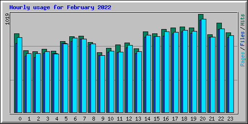 Hourly usage for February 2022