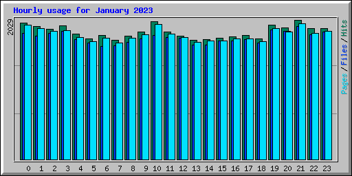 Hourly usage for January 2023