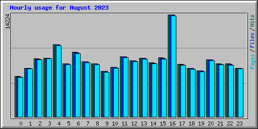 Hourly usage for August 2023