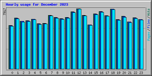 Hourly usage for December 2023