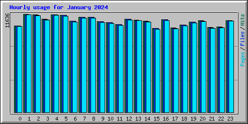 Hourly usage for January 2024