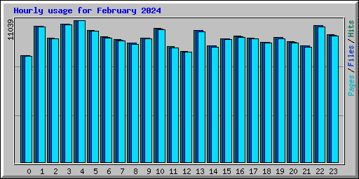 Hourly usage for February 2024