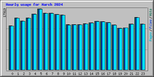 Hourly usage for March 2024