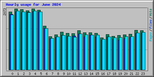 Hourly usage for June 2024