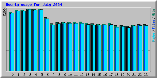 Hourly usage for July 2024