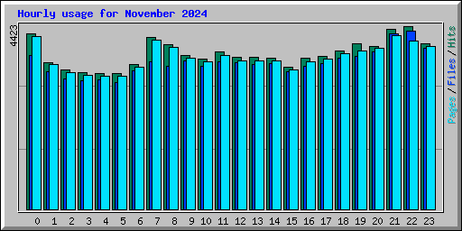 Hourly usage for November 2024