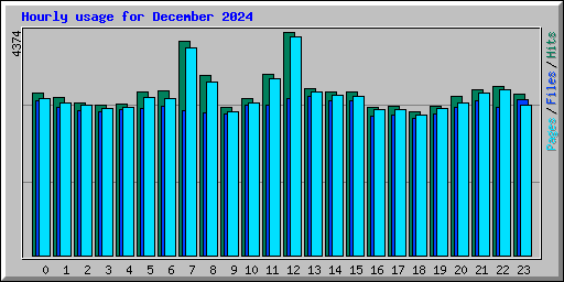 Hourly usage for December 2024
