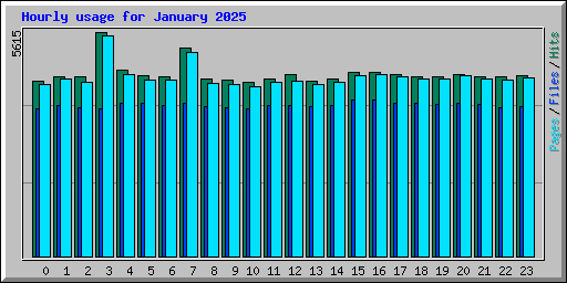 Hourly usage for January 2025