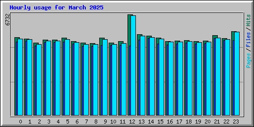 Hourly usage for March 2025