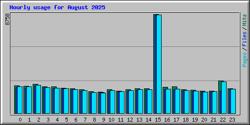 Hourly usage for August 2025