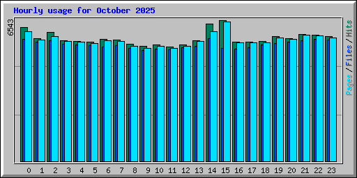 Hourly usage for October 2025