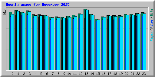Hourly usage for November 2025
