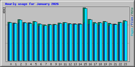Hourly usage for January 2026