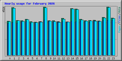 Hourly usage for February 2026
